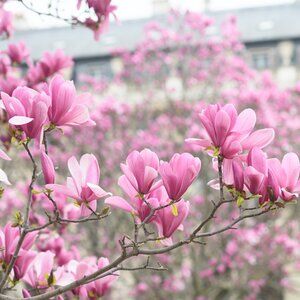 Bundle Reserved for @rem87